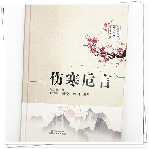 伤寒卮言 梅国强 著 刘松林 曾祥法 周贤 整理 国医大师梅国强医学丛书 疑难病证的辨析和认识 9787524701613中国中医药出版社 商品图4