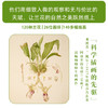 兰花传奇：迷人的烦恼 英国自然历史博物馆典藏 全彩精装插图本 赠送精美装饰画 商品缩略图4