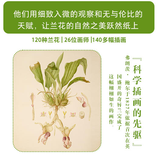 兰花传奇：迷人的烦恼 英国自然历史博物馆典藏 全彩精装插图本 赠送精美装饰画 商品图4