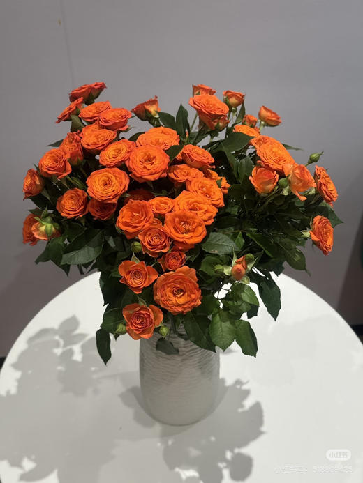 【2026.4.10】特价：1扎10枝多头橙芭比19.9（现货 下单即可到店自提） 商品图2