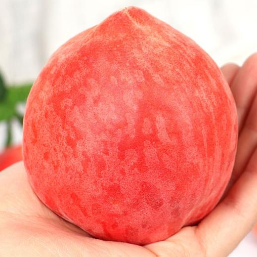 正宗现摘春雪水蜜桃5斤整箱新鲜应季孕妇水果10批发包邮3斤毛桃子 商品图1