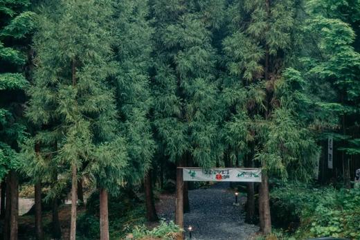 5.2-5.3/5.3-5.4【崇州琉璃坝·森林秘境】2天1夜亲子露营：昆虫旅馆、夜观萤火虫、古沙陀国秘境徒步、烤叫花鸡、植物化石 商品图5