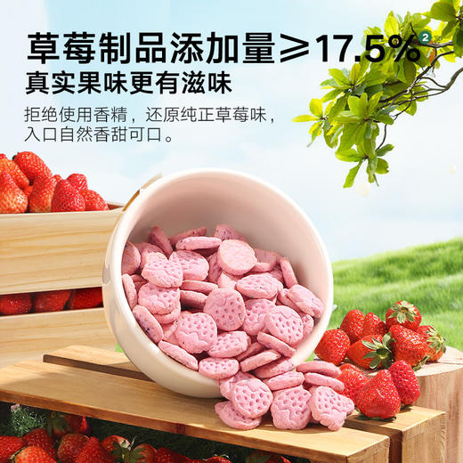 【宝宝馋了】草莓饼干 清香酥脆 送8月+婴幼儿食谱 商品图4