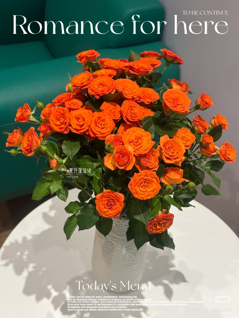 【2026.4.10】特价：1扎10枝多头橙芭比19.9（现货 下单即可到店自提）