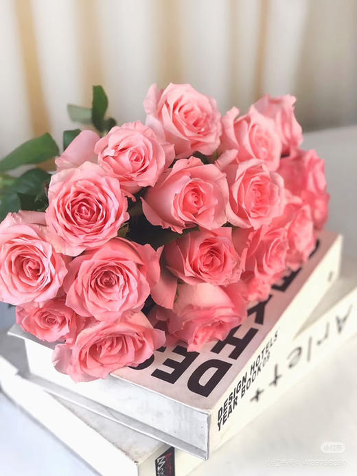 【2026.4.10】特价：1扎20枝黛安娜玫瑰19.9（现货 下单即可到店自提） 商品图0