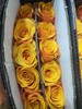 国产单头辉煌玫瑰花10支 商品缩略图5