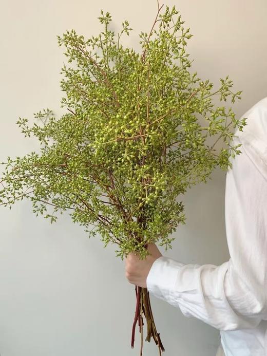 小米果1扎 商品图0