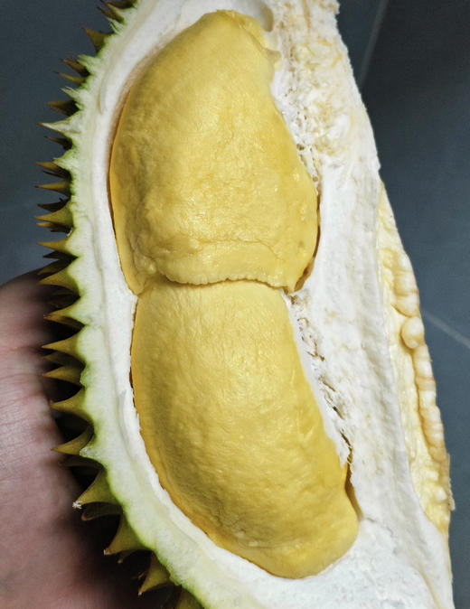 泰国空运糯米鸡榴莲（散称29.8/斤 称重补差 默认剥好） 商品图2