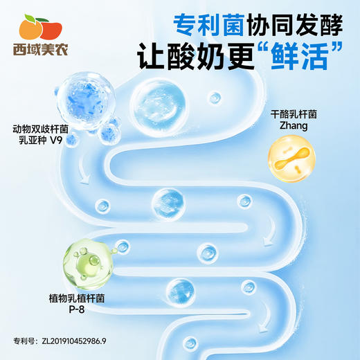 【FX】西域美农 内蒙古欧若姆奶皮子酸奶135g 小罐 活菌酸奶 商品图2