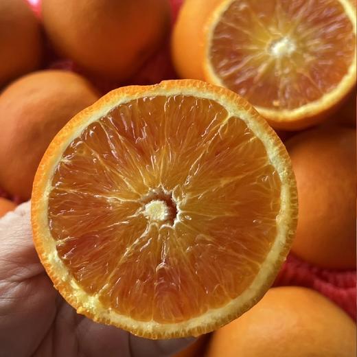 最新到货！家庭装~李小橙玫瑰血橙【净重约5斤】：爆汁口感，几乎纯甜，风味浓郁，适合榨汁水果中的“维C炸弹”，果肉细嫩 每一口都饱含满满活力。 商品图1