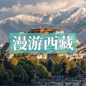 漫游西藏 | 从圣湖到冰川，从林海到雪山，一生总要去一次的世界屋脊漫游！