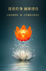 七彩心愿莲花灯酥油灯 led彩色七品供灯佛前家用长明灯灯盏烛台灯 商品缩略图2