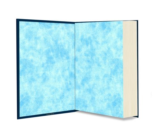 【限量真皮定制】【白先勇亲签钤印】《孽子》蓝色牛皮+欧式竹节装+毛边本 商品图3