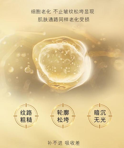 【礼盒礼袋】雅诗兰黛白金级赋活精华水挚爱套组（精华水 200ml+50ml*3），帮助肌肤激活能量、提升吸收力，带来焕亮紧致的逆龄体验 商品图5