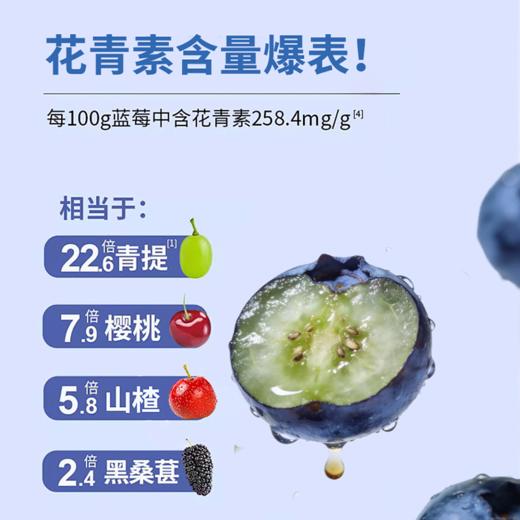 【云南花香蓝莓礼盒】22mm+巨无霸大果，脆甜爆浆，天然花香，一口补满春日元气~ 商品图2