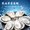 乳山半壳生蚝 | 现开现发 鲜活冷冻 肥美原浆 免开蚝刀 不开盲盒 粒粒饱满 洁净海域养殖 蚝肉厚实弹牙 家庭烧烤海鲜 送蒜蓉酱 商品缩略图0
