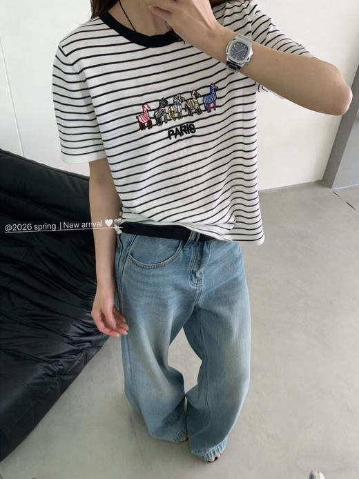 DYJ2602617绢丝小马刺绣条纹T 商品图4