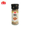 海天 椒盐40g*1瓶 KJDF-20240709-0007 商品缩略图0