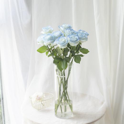 【顺丰冷链/中通空运/EMS空运】玫瑰鲜花任选4扎包邮 云南基地现采现发直发 每一款都是心动花 红玫瑰 黄玫瑰 卡布玫瑰 商品图2