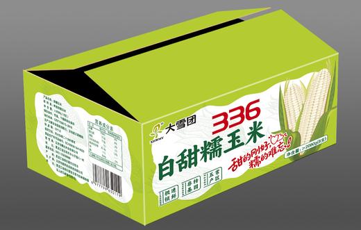 【大雪团】五常336白甜糯玉米 糯唧唧甜滋滋 粒粒饱满 嫩到爆珠 复购爆品 商品图5