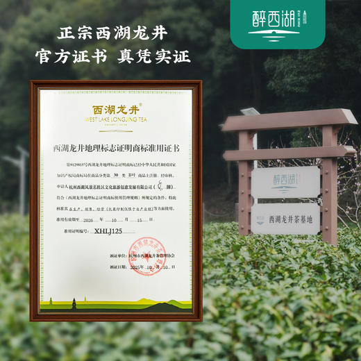 2026醉西湖春茶 雨前西湖龙井尝鲜装15g 商品图3