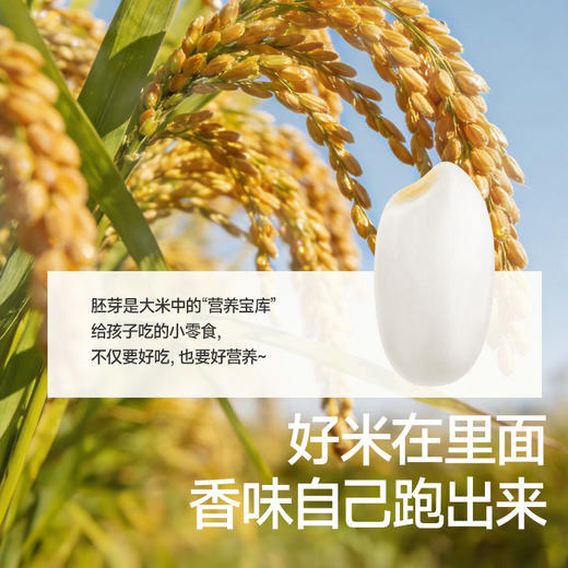 【59元任选5件】芝士金黄小贝/黑巧味脏脏小贝32g，叠加店铺满赠，不叠加店铺满减和会员折扣 商品图4