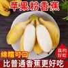 广西苹果蕉正宗粉蕉应季水果新鲜现摘小米香蕉整箱10斤包邮软糯甜 商品缩略图0