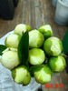 进口品种婚礼派对芍药花5支 商品缩略图7