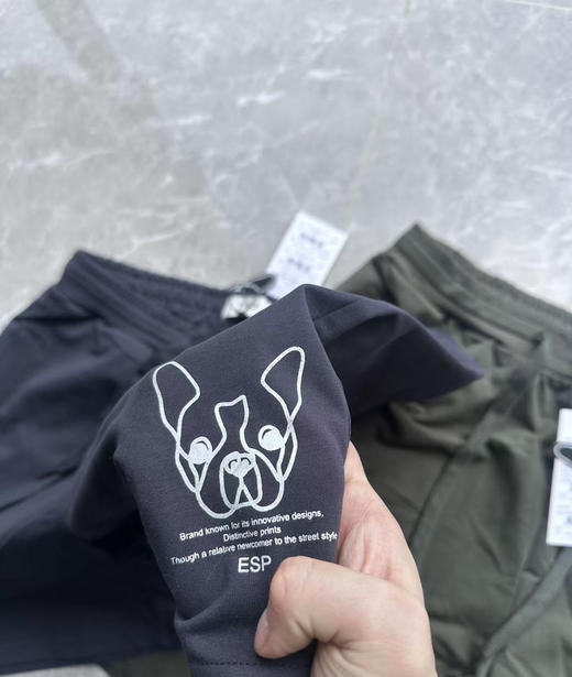 全新正品出口泰国26年新款ESP男士运动户外弹力透气短裤
两个色，尺码M L XL 商品图5