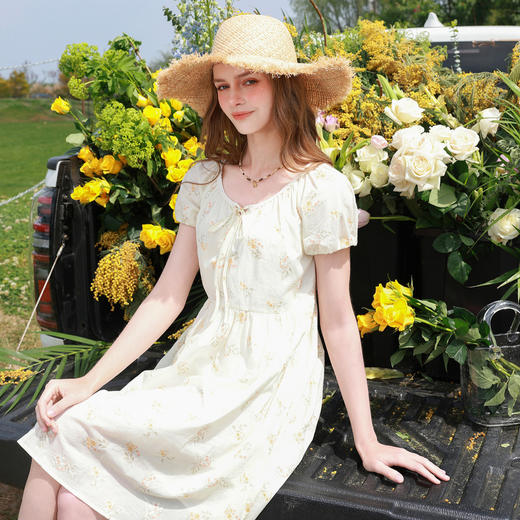 【100棉】三彩2026夏季新款刺绣印花连衣裙高腰A字裙短裙M 商品图2