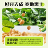 北大荒纯豆浆粉126g（7条）无添加低GI高纤高蛋白非转基因谷物早餐 商品缩略图2