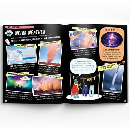 The Brainiac's Book 天才大脑系列 商品图3