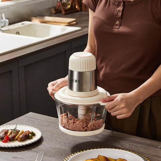 绞肉机蓝色2L 商品图1