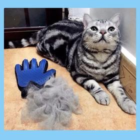 【硅胶材质不伤肤】撸猫手套宠物猫咪用品美容清洁按摩撸猫硅胶除狗毛宠物用品.TA