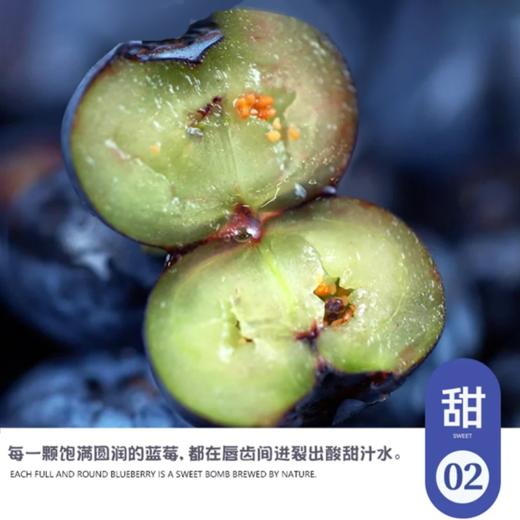 【云南花香蓝莓礼盒】22mm+巨无霸大果，脆甜爆浆，天然花香，一口补满春日元气~ 商品图5