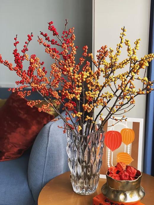 冬青1枝 商品图0