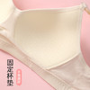 【39元1件】三排三口第三阶段带胸垫发育期少女文胸-080 商品缩略图5