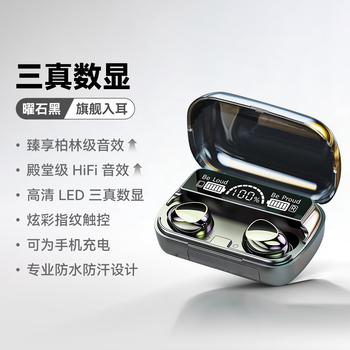 智国者【2026年最新款丨柏林音质】蓝牙耳机入耳式真无线超长续航音乐降噪运动跑游戏手机通用不伤&耳朵 /数码 /影音娱乐 /蓝牙/无线耳机 商品图2