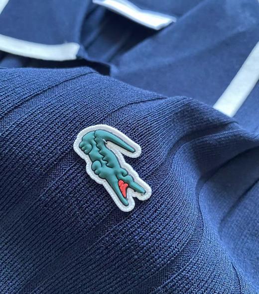 【lb1】女士复古学院风针织短袖Polo衫！！ 商品图2