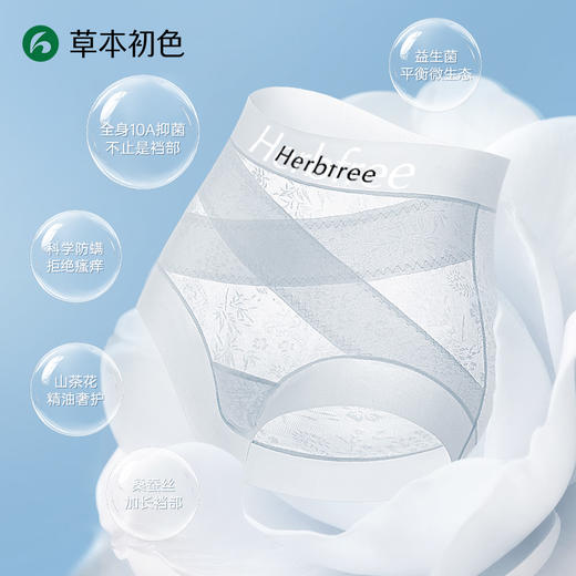 【三条装】草本初色国风浮雕加长裆收腹裤 山茶花精油中高腰无痕轻塑内裤 86532款 商品图5