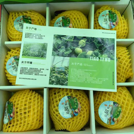 【地标好货】山东马连庄小甜瓜原箱顺丰包邮*2.8kg 商品图5