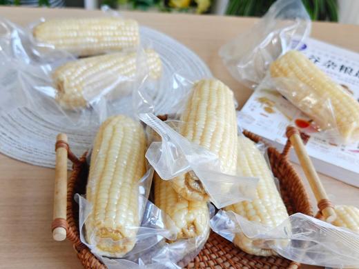 【大雪团】五常336白甜糯玉米 糯唧唧甜滋滋 粒粒饱满 嫩到爆珠 复购爆品 商品图7