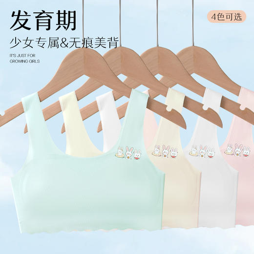 【39元1件】弹力宽肩带U型美背一阶段少女文胸-1877 商品图4