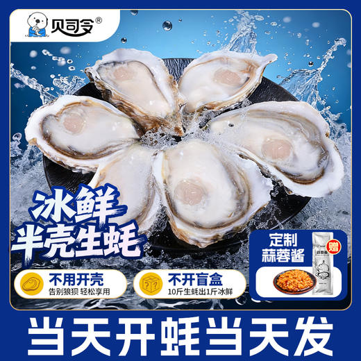 乳山半壳生蚝 | 现开现发 鲜活冷冻 肥美原浆 免开蚝刀 不开盲盒 粒粒饱满 洁净海域养殖 蚝肉厚实弹牙 家庭烧烤海鲜 送蒜蓉酱 商品图5