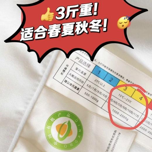 疯抢中！！【送收纳袋+衣架】【繁花生活·有机蚕丝被】防蚊防螨 10A抗菌 轻柔舒适不压身 四季适用 1500g/2m*2.3m 商品图7
