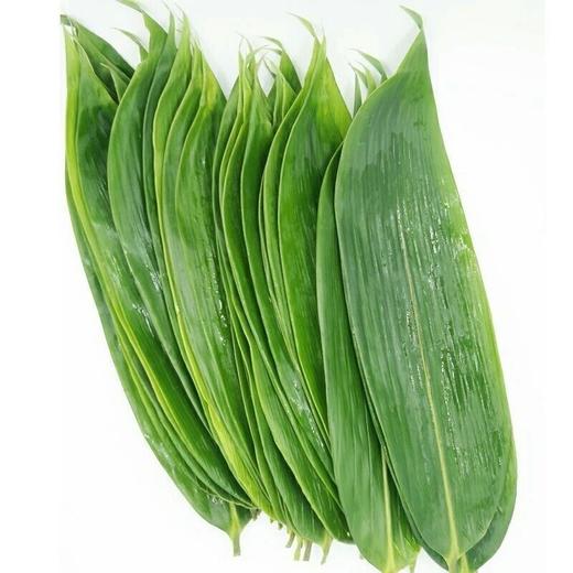 耐煮不破/新鲜大粽叶200片真空包装宽叶家用大号新叶批发包粽子叶 商品图4