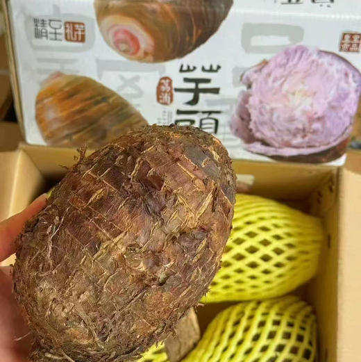 【荔浦大芋头/牛奶小芋头】养生食品多吃芋头，年年有余！口感细腻润滑，粉而不黏，糯性强，果实饱满，结实易熟 商品图1