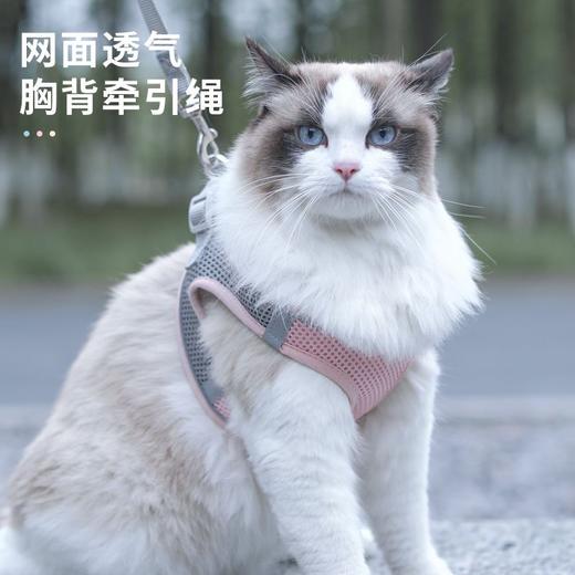 【360°环绕分压胸背、环保材质强力锁扣】猫咪牵引绳可调节溜猫牵引绳猫绳子猫牵引防挣脱外出专用猫绳背带.TA 商品图3