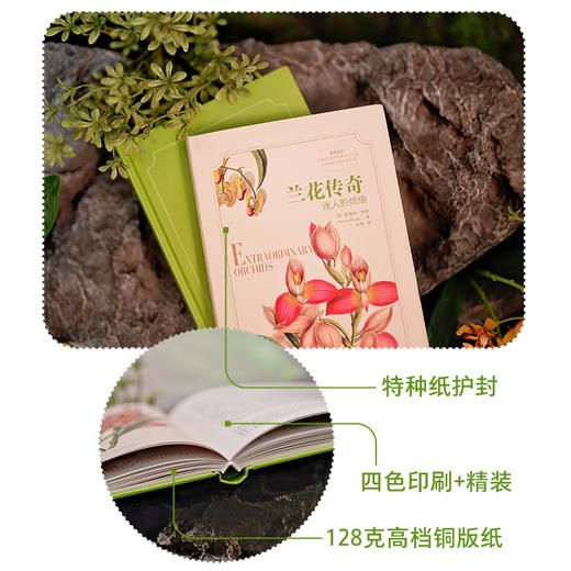 兰花传奇：迷人的烦恼 英国自然历史博物馆典藏 全彩精装插图本 赠送精美装饰画 商品图1