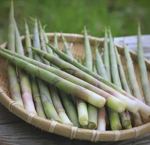 新鲜小竹笋现挖现发脆嫩可口山野美味 商品图2